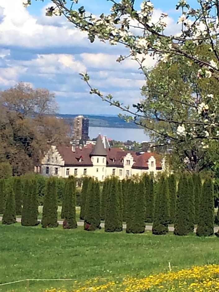 Schloss Brunnegg