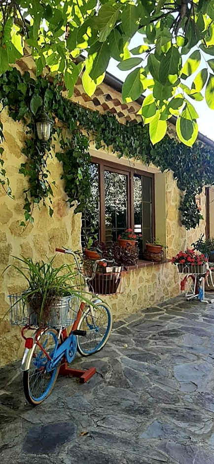 APARTAMENTOS TURÍSTICOS Y SUITES