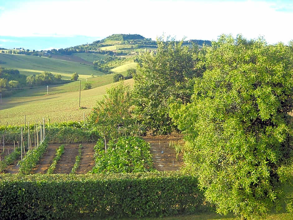 B&B Campodisole