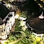 Royal Bath Hotel