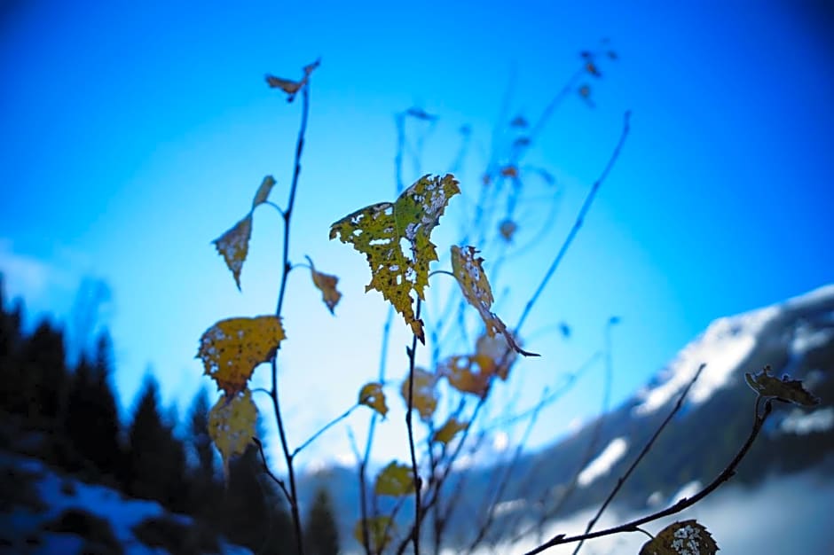 Biobauernhof Spieszschweiger