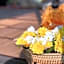 Tantawan Tented Camp Chiang Rai