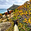 S'Arenada Hotel - Adults Only