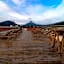 LATAM HOTEL Plaza Pradera Quetzaltenango