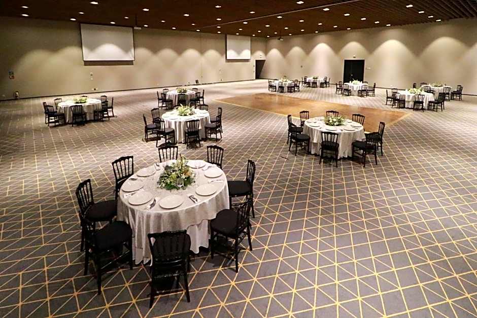Holiday Inn San Luis Potosi-Quijote By IHG