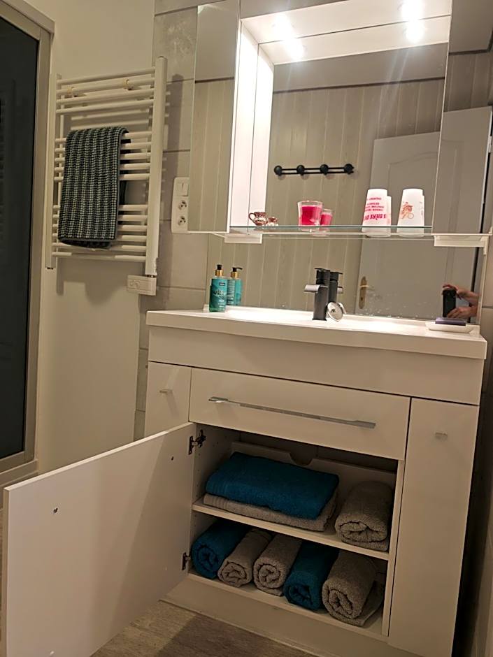 chez Émile côté face maison entière, 3 chambres, 2 salles de bains,jardin et terrasse