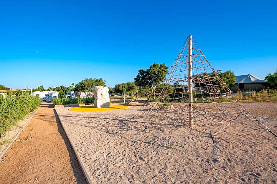 Terra Park Phalaris