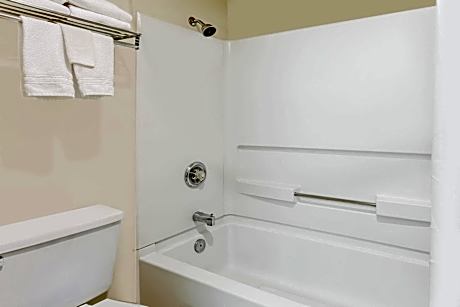 1 King Bed Non-Smoking