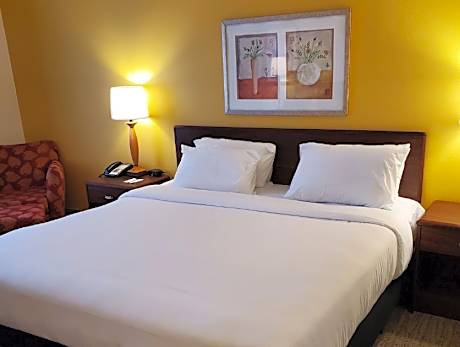 1 King Bed, Nonsmoking