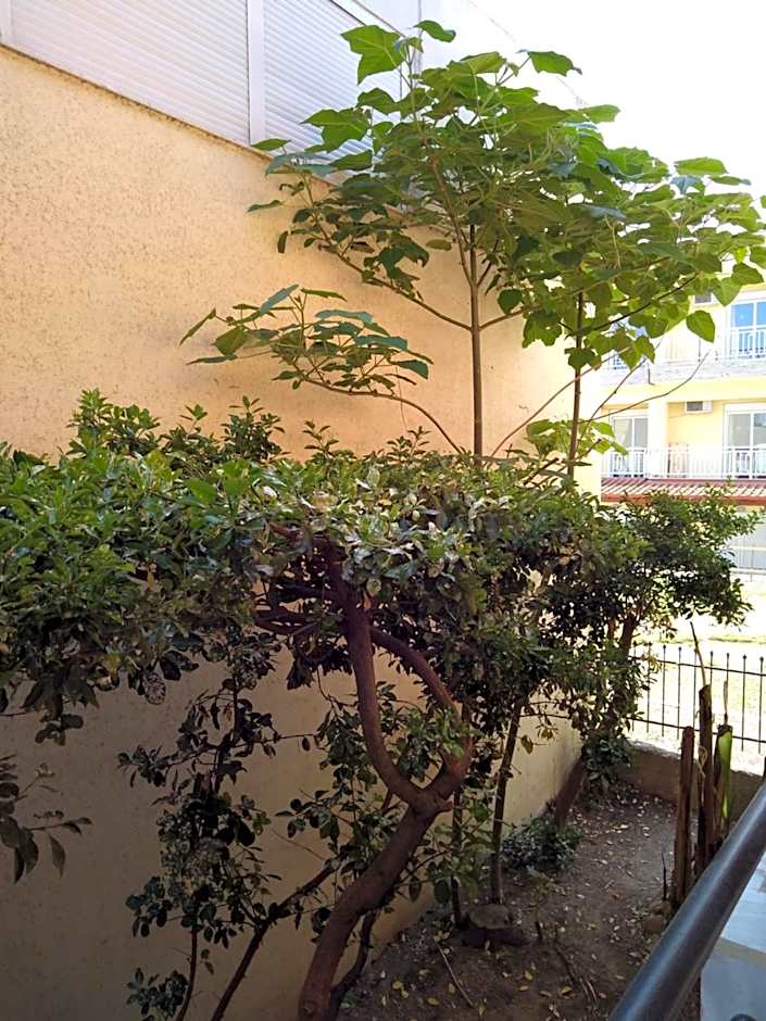 Polychrono Beach Hotel