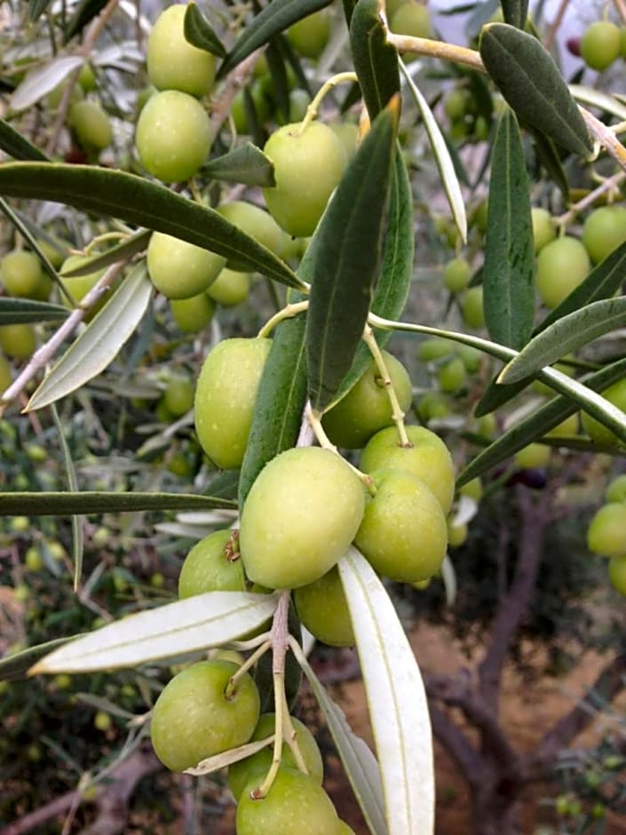 No 31 Bed & Breakfast