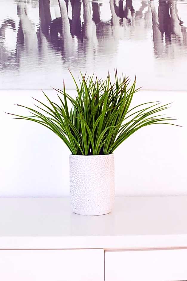 Funkey Villas Cape Town