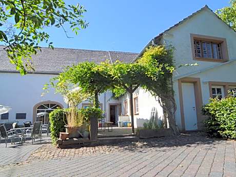 Cosy apartment with terrace in Meisburg