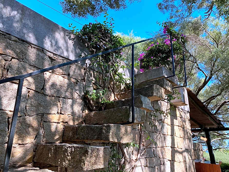 Domus Olivarum - Costa Smeralda 6 guest, 3 room, 2 bathroom, 2 parking Wifi