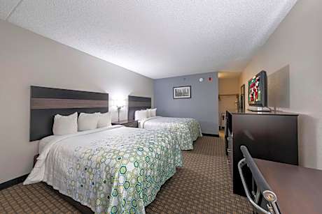 Standard Room with Two Double Beds with Sofa Bed, Microwave & Refrigerator Non-Smoking