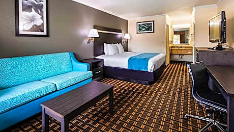 1 King Bed, Non-Smoking, High Speed Internet Access, Executive Room, Microwave And Refrigerator, Con