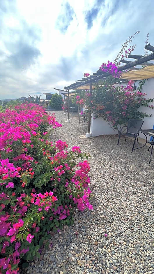 Santerra, Valle de Guadalupe
