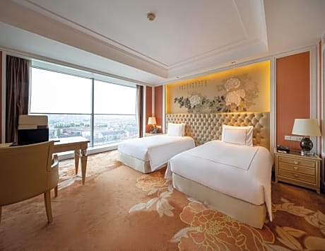 Executive Double Room with City View