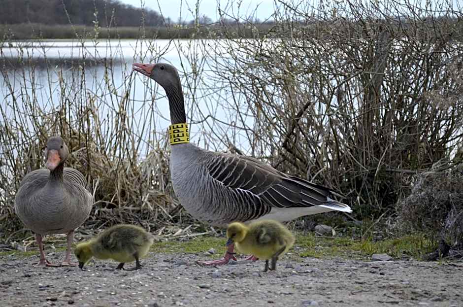 Hotel Mona Lisa Wellness & Spa