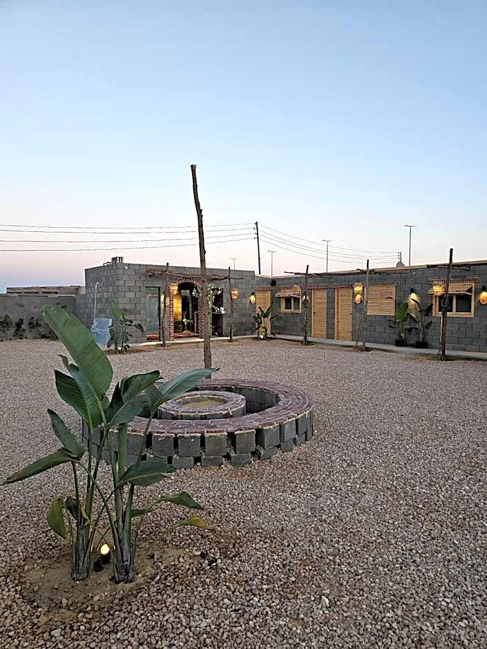 Lily's motel