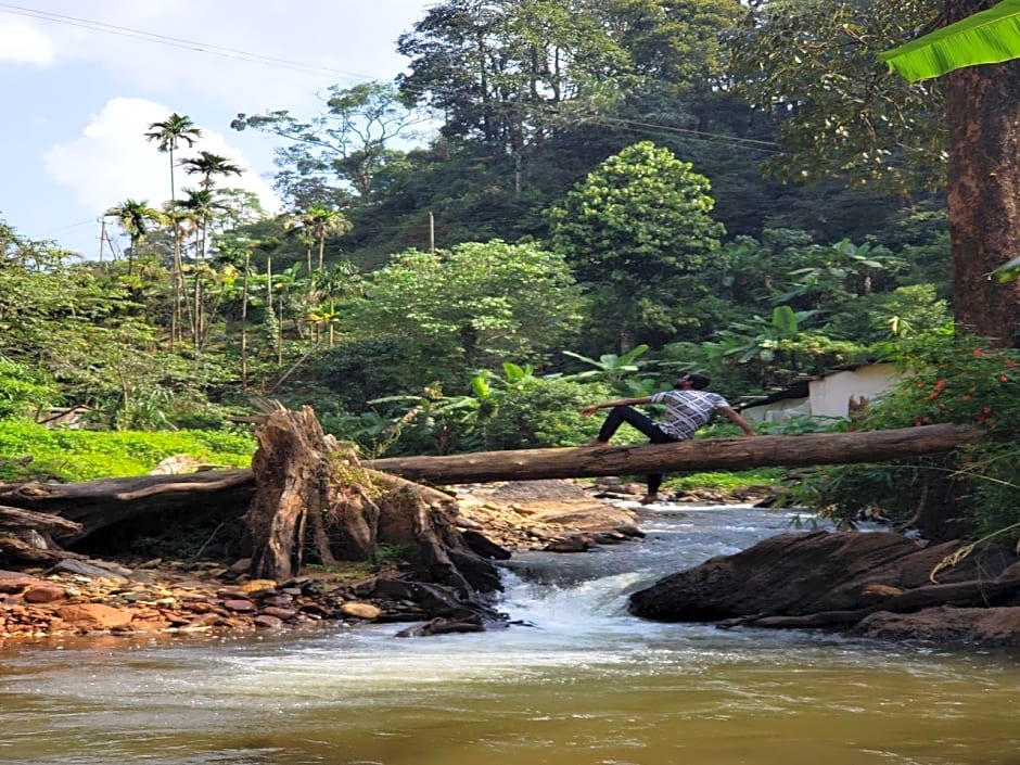 Staymaker q Experiences