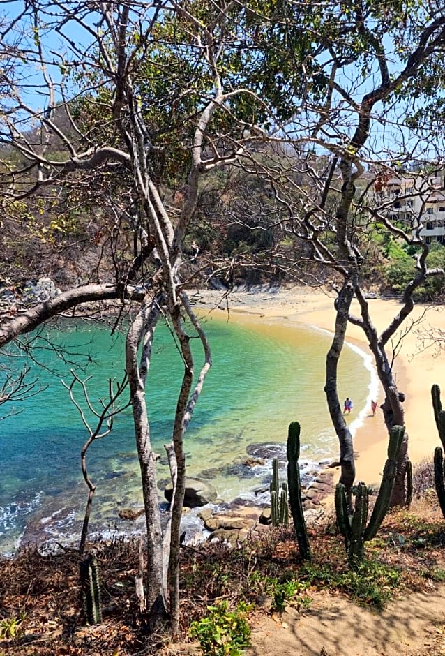 Agua Azul la Villa