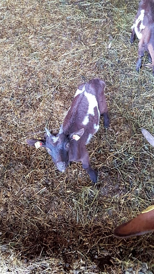 Badererhof Christine Wechselberger