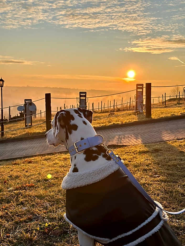 Hotel Szary Residence