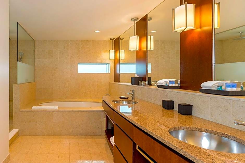 Hyatt Regency Trinidad
