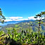 Hotel Trudnerhof im Naturpark Trudnerhorn