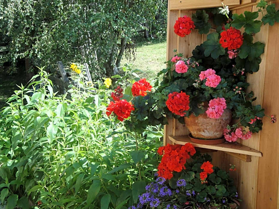 Hotel Pension Schwaiger