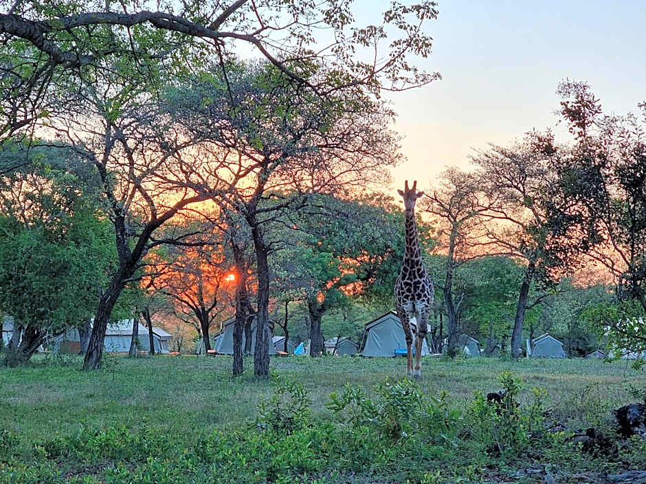 Unyati Safari Lodge