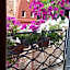 Friendly Venice Suites