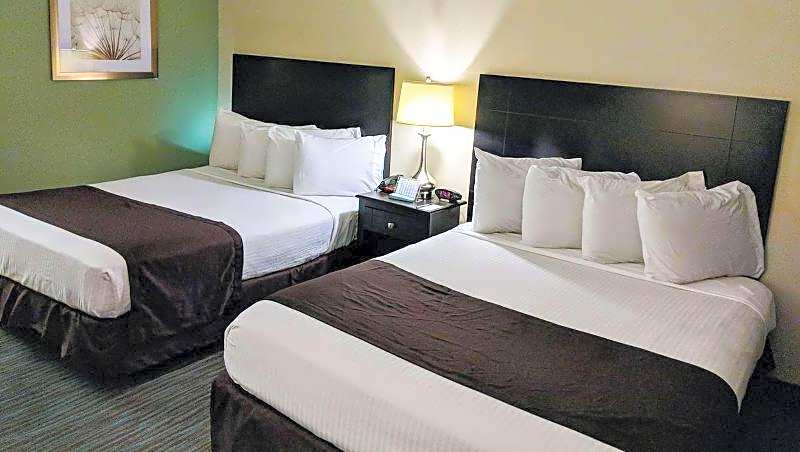 The Hotel Francis