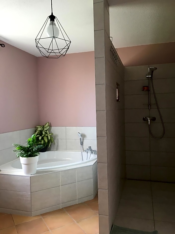 Le chant des oiseaux