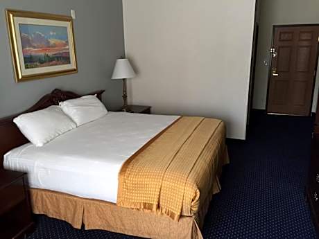 1 King Bed Nonsmoking