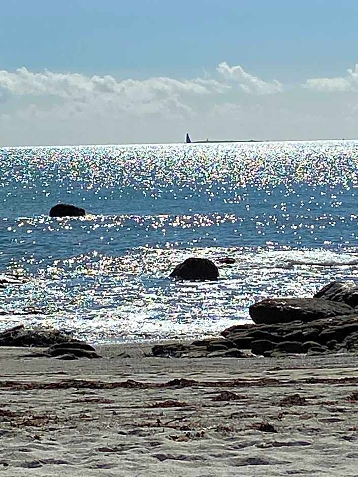 Domaine de Kerdavid - Chambres d'hôtes à Remungol