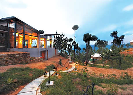 Seed at Queens Meadows, Ranikhet