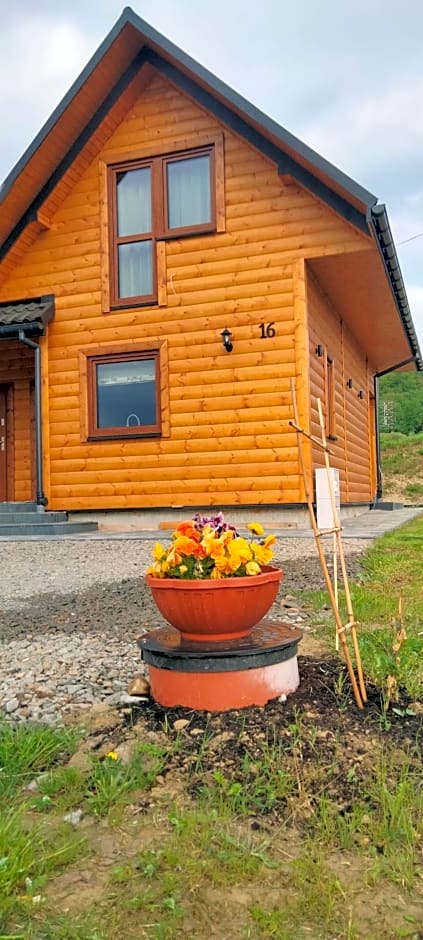 Gospodarstwo Agroturystyczne Bieszczadzki Bliźniak