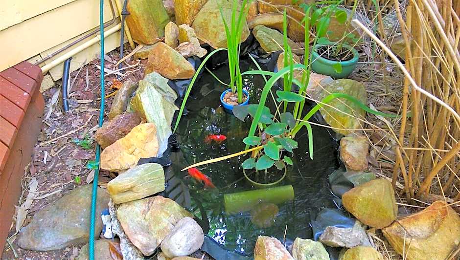 Black Cockatoo Lodge