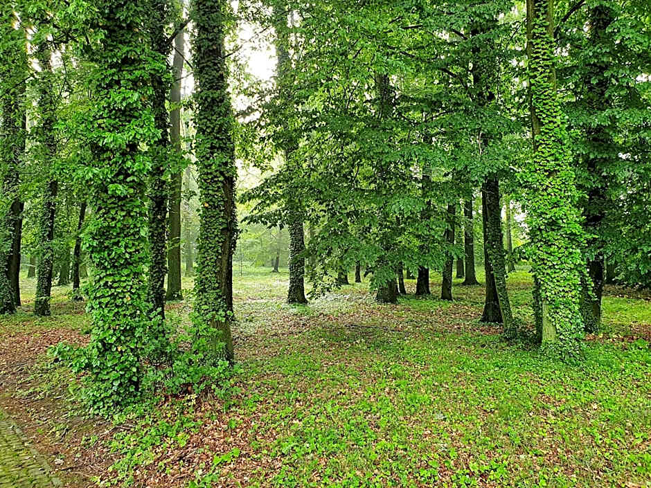 Stacja Nowa Gdynia Bed & Breakfast Aquapark