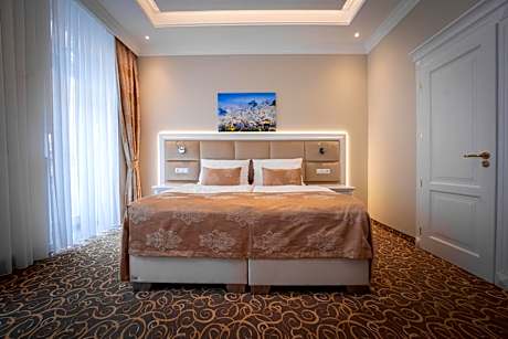 Superior Double or Twin Room with City View