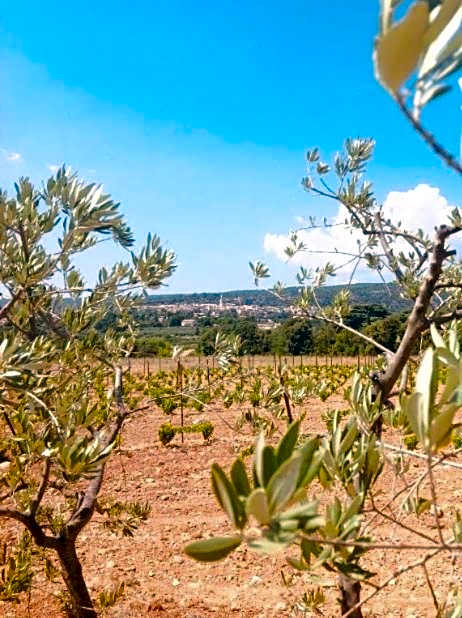 Le Vieux Portail