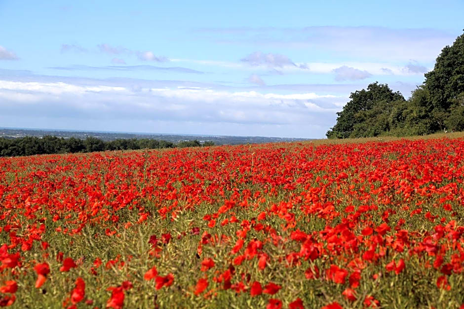 Charlton End - Goodwood Events
