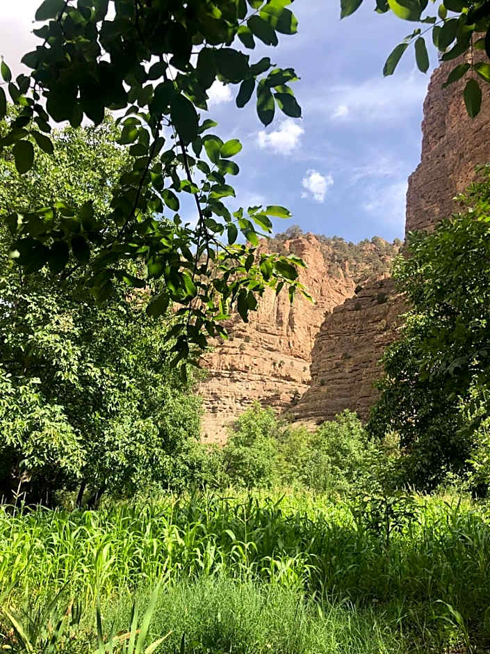 Gite Ifoulou Tassaout