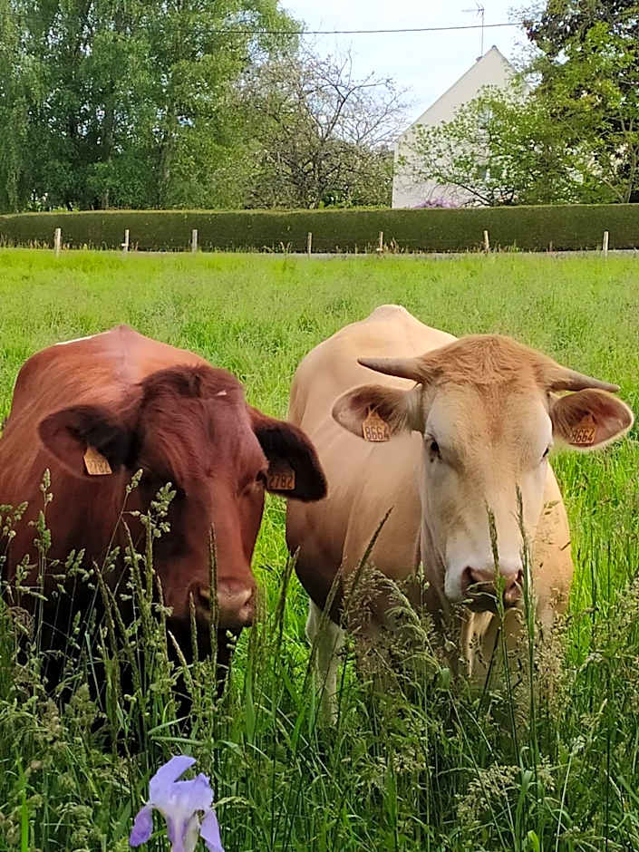 La Chaussee d'Olivet en Mayenne