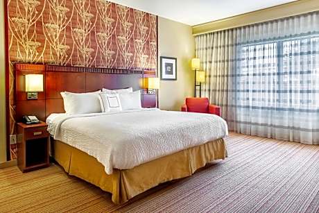 Studio King Suite with Sofa Bed