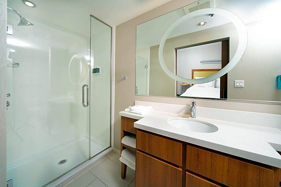 SpringHill Suites by Marriott Philadelphia Valley Forge/King of Prussia