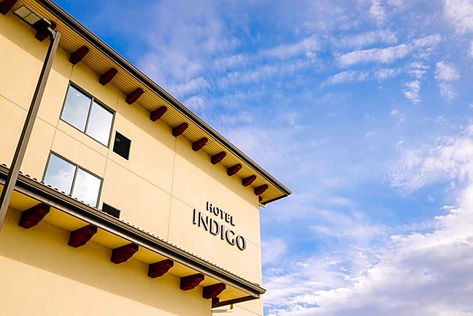 Hotel Indigo Spring - Woodlands Area By IHG