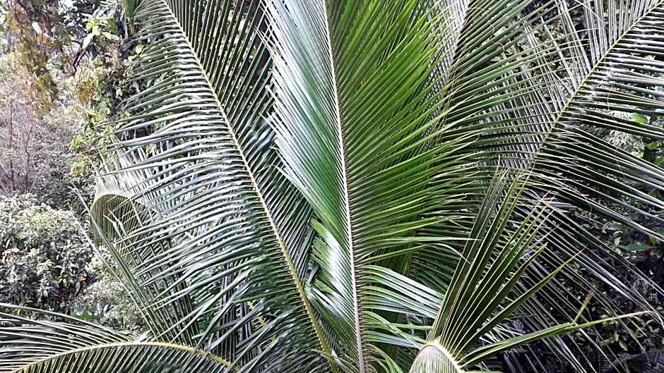 Bang Son Golden View